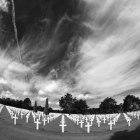 Portrait by Jessica Felicio