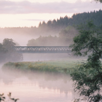 Portrait by Jessica Felicio