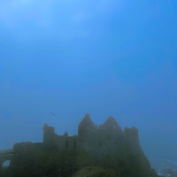 Portrait by Jessica Felicio