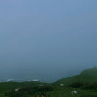 Portrait by Jessica Felicio