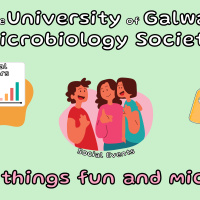 Portrait by Jessica Felicio