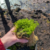 Portrait by Jessica Felicio