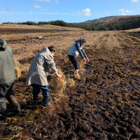 Portrait by Jessica Felicio