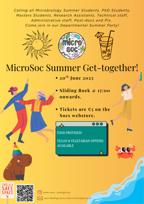 MicroSoc Summer Party