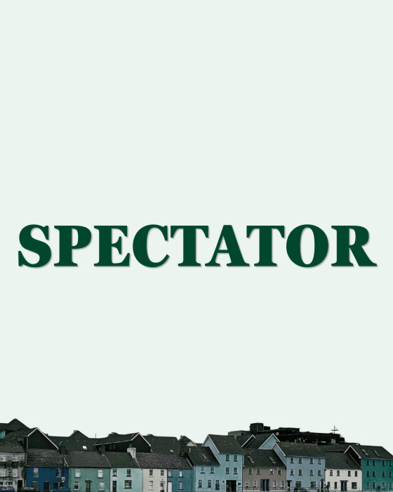 Galway Open Entry Fee - Spectator